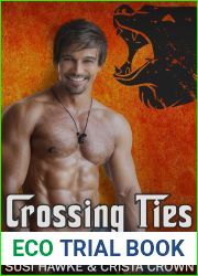 Crossing Ties (The Family Novak, #5)