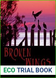 Broken Wings