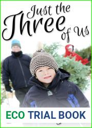 Just the Three of Us (Remy and Lane, #1)