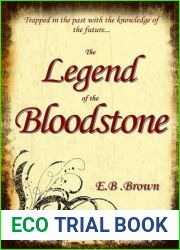 The Legend of the Bloodstone (Time Walkers, #1)