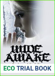 Wide Awake (Academy of the Fallen, #1)