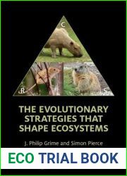 The Evolutionary Strategies that Shape Ecosystems