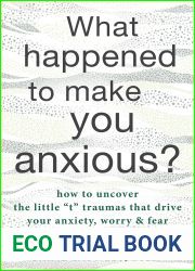 What Happened to Make You Anxious?: How to Uncover the Little t Traumas that Drive Your Anxiety, Worry, and Fear