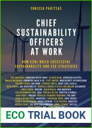 Chief Sustainability Officers At Work: How CSOs Build Successful Sustainability and ESG Strategies