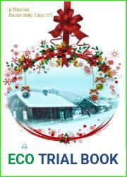 A Christmas Promise