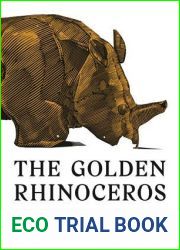 The Golden Rhinoceros: Histories of the African Middle Ages