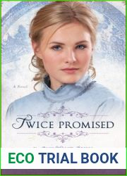 Twice Promised (The Blue Willow Brides, #2)