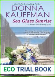 Sea Glass Sunrise (Brides of Blueberry Cove, #1)