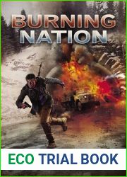 Burning Nation (Divided We Fall, #2)