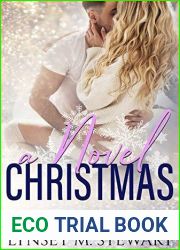 A Novel Christmas
