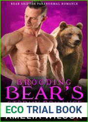 Brooding Bear|s Stormy Romance: Bear Shifter Romance (Company 417 Shifters Series Book 20)