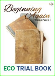 Beginning Again (Finding Peace, #1)