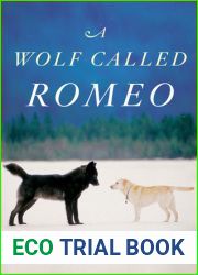 A Wolf Called Romeo