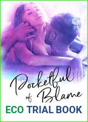 Pocketful of Blame (Pocket #1)