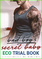 Bad Boy|s Secret Baby