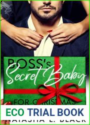 Boss|s Secret Baby for Christmas