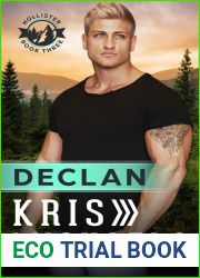 Declan (Hollister Book 3)