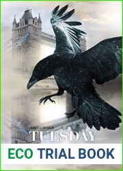 Tuesday Raven (Spy) (Pageturners)