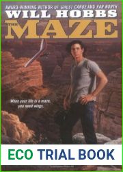 The Maze