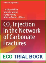 CO2 Injection in the Network of Carbonate Fractures (Petroleum Engineering)
