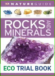 Rocks and Minerals (DK Nature Guide)