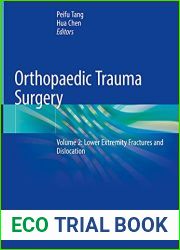 Orthopaedic Trauma Surgery: Volume 2: Lower Extremity Fractures and Dislocation