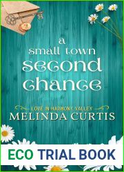 A Small Town Second Chance