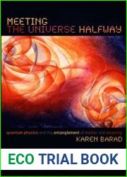 Meeting the Universe Halfway: Quantum Physics and the Entanglement of Matter and Meaning