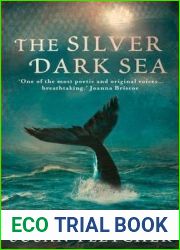 The Silver Dark Sea