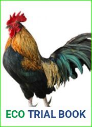 Beware of Chicken Volume 1