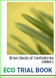 Brave Deeds of Confederate Soldiers