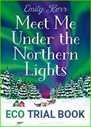 Meet Me Under The Northern Lights