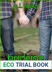 Bridging Obsession