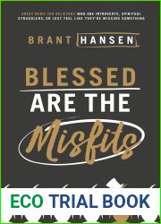 Blessed Are the Misfits: Great News for Believers who are Introverts, Spiritual Strugglers, or Just Feel Like They|re Missing Something