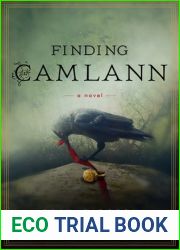 Finding Camlann