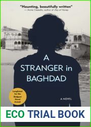 A Stranger in Baghdad: A Novel (Hoopoe Fiction)
