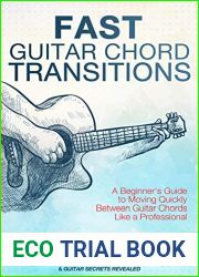 Fast Guitar Chord Transitions: A Beginner|s Guide to Moving Quickly Between Guitar Chords Like a Professional (Guitar Authority Series Book 4)