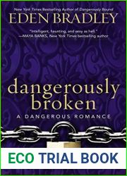 Dangerously Broken (A Dangerous Romance Book 2)
