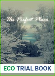 The Perfect Place