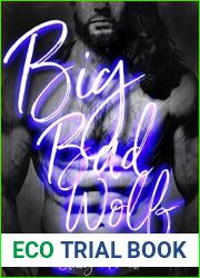 Big Bad Wolf: Book 1.5 Twisted Boys of NY