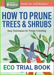 How to Prune Trees and Shrubs: Easy Techniques for Timely Trimming