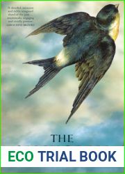 The Anchoress
