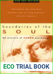 Boundaries of the Soul: The Practice of Jung|s Psychology