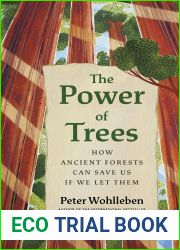 The Power of Trees: How Ancient Forests Can Save Us if We Let Them