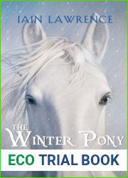The Winter Pony
