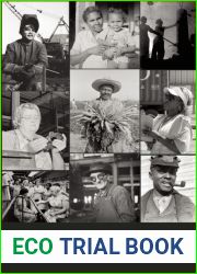 A Short History of the U.S. Working Class: From Colonial Times to the Twenty-First Century