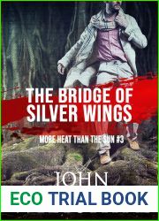The Bridge of Silver Wings (More Heat Than the Sun, #3)