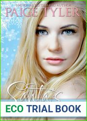 Santa|s Wayward Elf