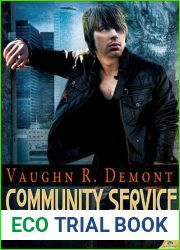 Community Service (Broken Mirrors, #3)