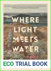 Where Light Meets Water